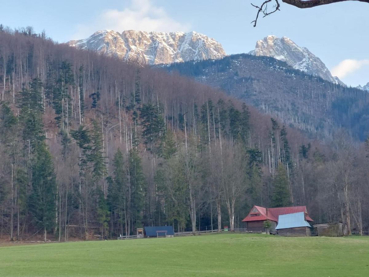 Apartament 3 Strazyska 21A Zakopane Eksteriør billede